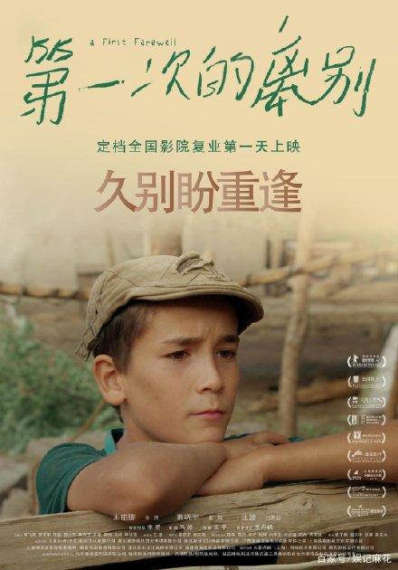 注册学历证书分为